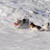 ruhpolding03 122.jpg